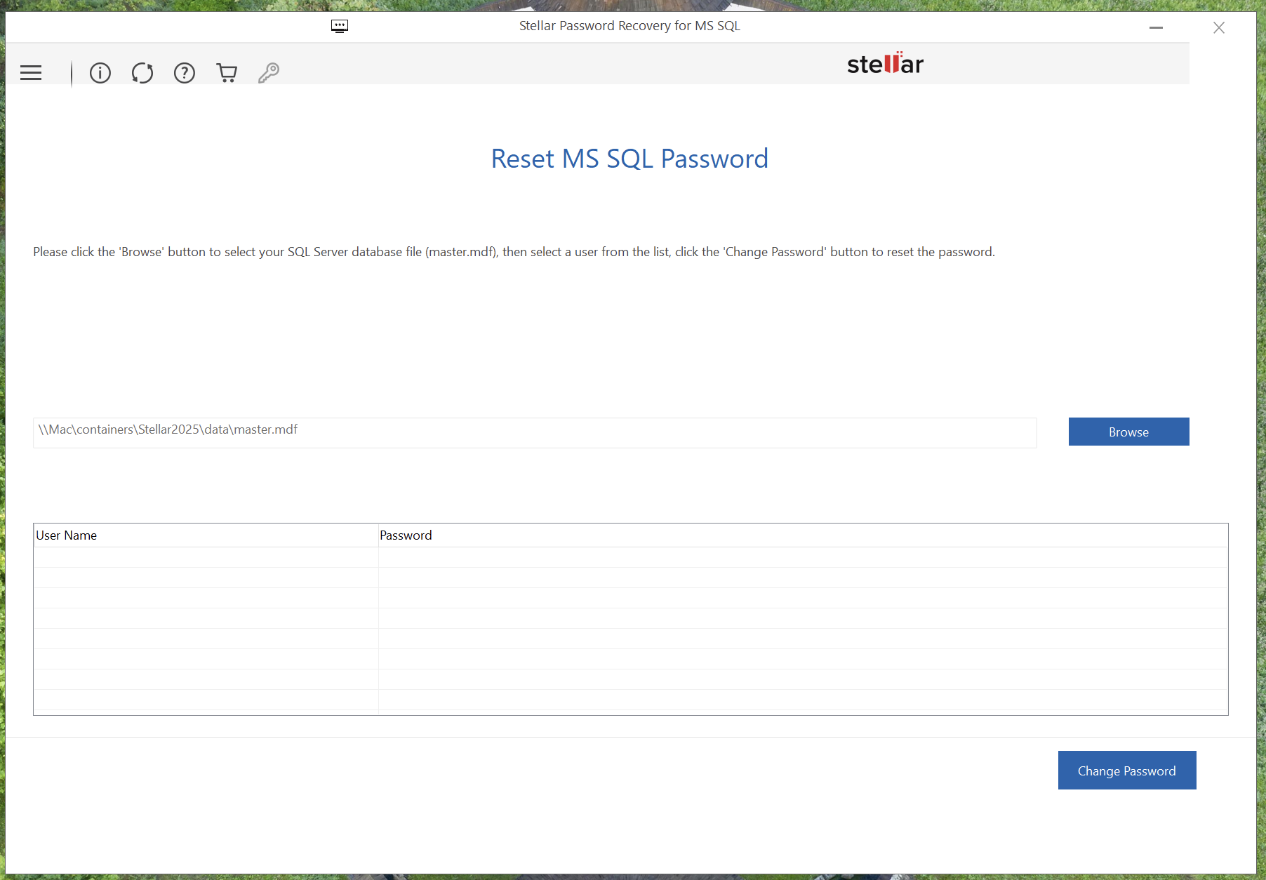 Sql2025RecoveryAttempt