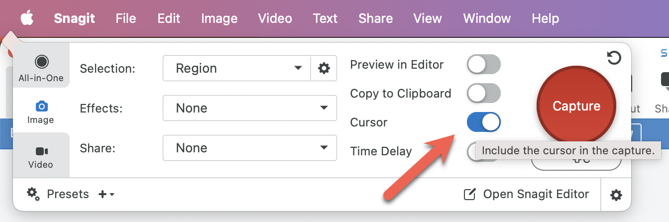 snagItCropDefault