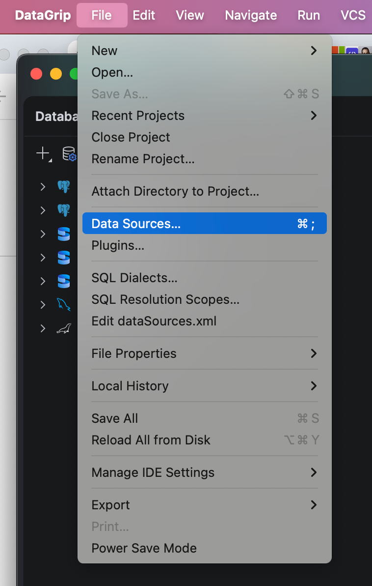 1DataSource